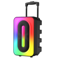 Havit SQ131BT Multi-Function Gradient Outdoor Bluetooth Speaker with MIC